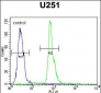 COPZ2 Antibody (C-term)